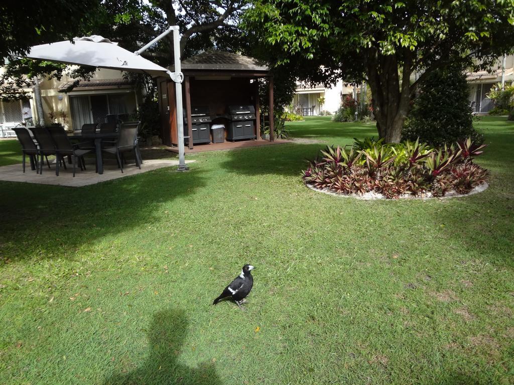 Noosa Gardens Riverside Resort Noosaville Szoba fotó